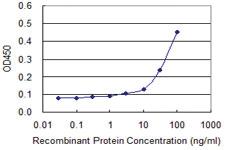 Anti-PURA Mouse Monoclonal Antibody [clone: 3A9]