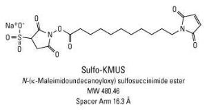 Sulpho-KMUS, Pierce™