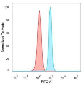 Flow cytometric analysis of PFA-fixed HeLa cells using Anti-ZNF81 Antibody [PCRP-ZNF81-2G2] followed by Goat Anti-Mouse IgG (CFand#174; 488) (Blue). Isotype Control (Red)