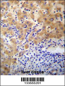 Anti-APCDD1 Rabbit Polyclonal Antibody (FITC (Fluorescein Isothiocyanate))