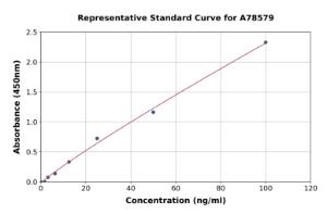 Representative standard curve for Human PAEP/Glycodelin ELISA kit (A78579)