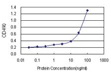 Anti-SERPIND1 Polyclonal Antibody Pair