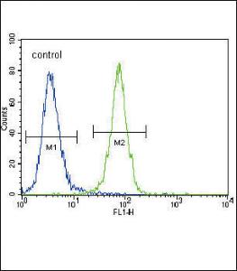 Anti-DDR1 Rabbit Polyclonal Antibody (HRP (Horseradish Peroxidase))