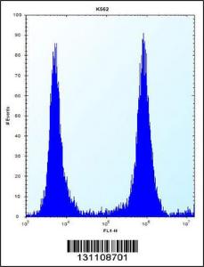 Anti-MCF2 Rabbit Polyclonal Antibody