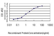 Anti-MPP3 Mouse Monoclonal Antibody [clone: 4D7]