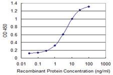 Anti-CALN1 Mouse Monoclonal Antibody [clone: 2G2]