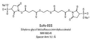 Sulpho-EGS (Ethylene glycol bis(sulphosuccinimidyl succinate)), Pierce™