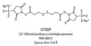 PEGylated BM (bismaleimido) Crosslinkers, Homobifunctional, Pierce™