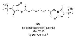 PEGylated BM (bismaleimido) Crosslinkers, Homobifunctional, Pierce™