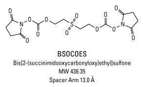 PEGylated BM (bismaleimido) Crosslinkers, Homobifunctional, Pierce™