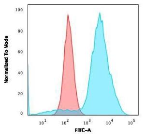 Flow cytometric analysis of SKBR-3 cells using Anti-B7H4 Antibody [B7H4/2652R] followed by Goat Anti-Rabbit IgG (CF and #174; 488) (Blue). Isotype Control (Red)