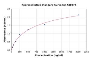 Representative standard curve for Rat Prealbumin ELISA kit (A80374)