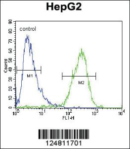 Anti-ZC3H12A Rabbit Polyclonal Antibody