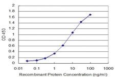 Anti-JAM3 Mouse Monoclonal Antibody [clone: 1D3]