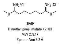 PEGylated BM (bismaleimido) Crosslinkers, Homobifunctional, Pierce™