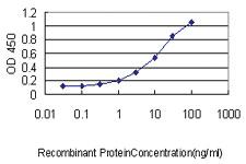 Anti-ASB9 Mouse Monoclonal Antibody [clone: 1D8]