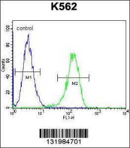 Anti-TTBK2 Rabbit Polyclonal Antibody (FITC (Fluorescein Isothiocyanate))