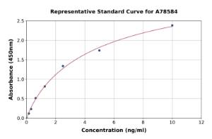 Representative standard curve for Rat PAPPA ELISA kit (A78584)