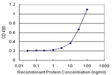 Anti-PTPN5 Polyclonal Antibody Pair