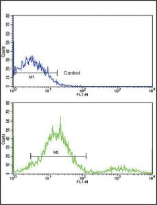 Anti-MCL1 Rabbit Polyclonal Antibody (FITC (Fluorescein Isothiocyanate))