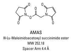 AMAS (N-Succinimidyl maleimidoacetate), Pierce™