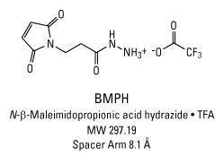 BMPH (N-(β-maleimidopropionic acid) hydrazide trifluoroacetic acid salt), Pierce™