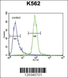 Anti-hCG_2024410 Rabbit Polyclonal Antibody