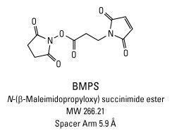 BMPS (3-Maleimidopropionic acid N-hydroxysuccinimide ester), Pierce™