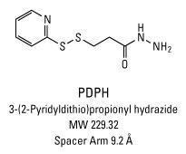 PDPH ((3-(2-pyridyldithio)propionyl hydrazide)), Pierce™