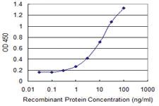 Anti-RNF13 Mouse Monoclonal Antibody [clone: 3E4]