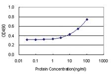 Anti-TEX264 Antibody Pair