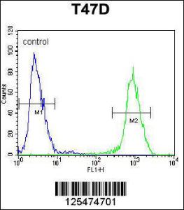 Anti-RHG19 Rabbit Polyclonal Antibody (AP (Alkaline Phosphatase))