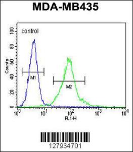 Anti-MECP2 Rabbit Polyclonal Antibody (APC (Allophycocyanin))