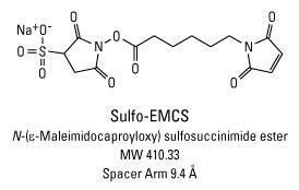 Sulpho-EMCS (N-(ε-maleimidocaproyloxy) sulphosuccinimide ester), Pierce™