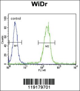 Anti-EGR1 Rabbit Polyclonal Antibody