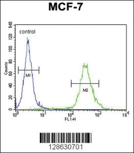 Anti-DENND1B Rabbit Polyclonal Antibody