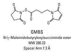 GMBS (N-Succinimidyl 4-maleimidobutyrate), Pierce™