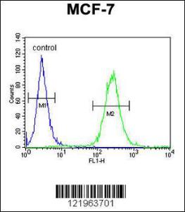 Anti-UPF2 Rabbit Polyclonal Antibody (PE (Phycoerythrin))