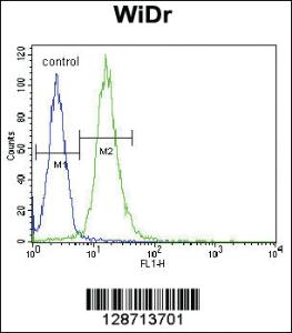 Anti-WDR5B Rabbit Polyclonal Antibody