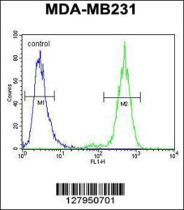 Anti-TTC16 Rabbit Polyclonal Antibody (AP (Alkaline Phosphatase))