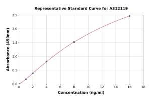 Representative standard curve for Human Caveolin-2 ELISA kit (A312119)