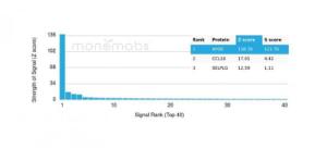 Analysis of protein array containing more than 19,000 full-length human proteins using Anti-Apolipoprotein E Antibody [APOE/3671