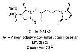 Sulpho-GMBS (N-Maleimidobutyryloxysulphosuccinimide ester), Pierce™