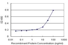 Anti-TOM1 Polyclonal Antibody Pair