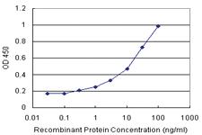 Anti-HCK Antibody Pair