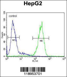 Anti-SERPINH1 Rabbit Polyclonal Antibody (AP (Alkaline Phosphatase))