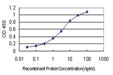 Anti-NSG1 Mouse Monoclonal Antibody [clone: 1C3]