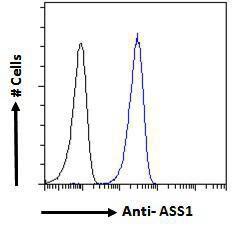 Anti-ASS1 Antibody (A83511) - Flow cytometric analysis of paraformaldehyde fixed A431 cells (blue line), permeabilized with 0