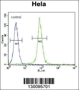 Anti-ADO Rabbit Polyclonal Antibody