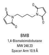 BMB (1,4-Bis(maleimido)butane), Pierce™